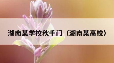湖南某学校秋千门（湖南某高校）