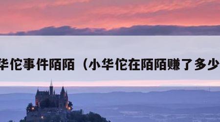 小华佗事件陌陌（小华佗在陌陌赚了多少钱）