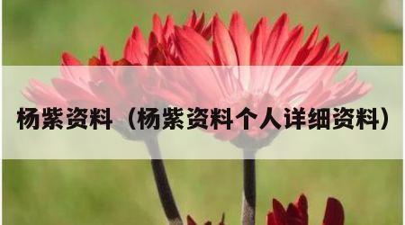 杨紫资料（杨紫资料个人详细资料）