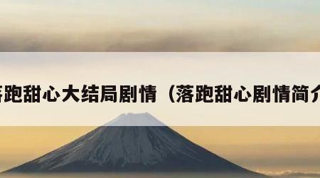 落跑甜心大结局剧情（落跑甜心剧情简介）