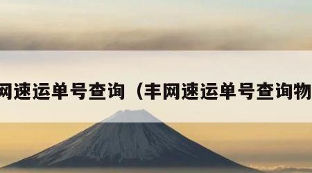 丰网速运单号查询（丰网速运单号查询物流）