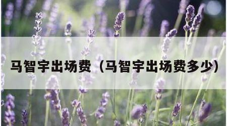 马智宇出场费（马智宇出场费多少）