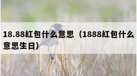 18.88红包什么意思（1888红包什么意思生日）