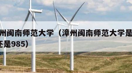 漳州闽南师范大学（漳州闽南师范大学是211还是985）