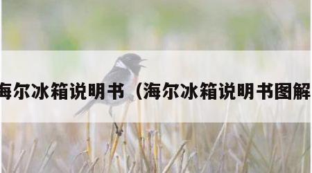 海尔冰箱说明书（海尔冰箱说明书图解）