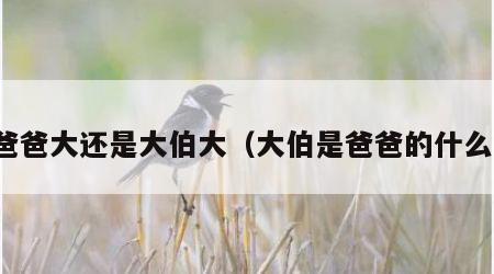 爸爸大还是大伯大（大伯是爸爸的什么）