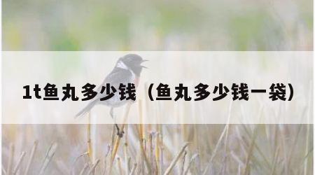 1t鱼丸多少钱（鱼丸多少钱一袋）