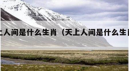 天上人间是什么生肖（天上人间是什么生肖数字）