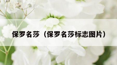 保罗名莎（保罗名莎标志图片）
