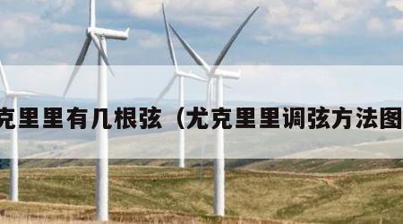 尤克里里有几根弦（尤克里里调弦方法图解）