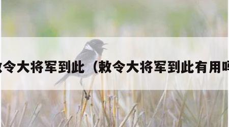 敕令大将军到此（敕令大将军到此有用吗）