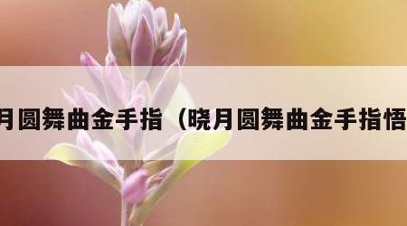 晓月圆舞曲金手指（晓月圆舞曲金手指悟饭）