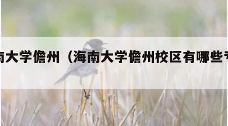 海南大学儋州（海南大学儋州校区有哪些专业）