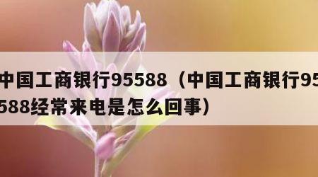 中国工商银行95588（中国工商银行95588经常来电是怎么回事）