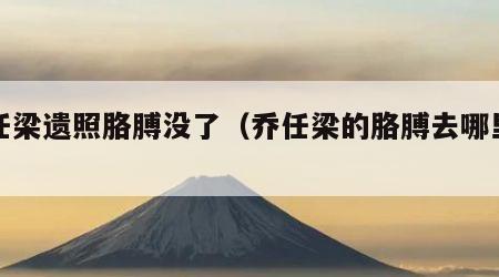 乔任梁遗照胳膊没了（乔任梁的胳膊去哪里了）
