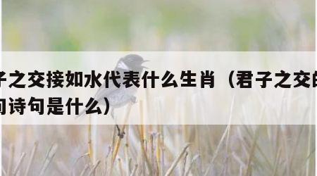 君子之交接如水代表什么生肖（君子之交的下一句诗句是什么）