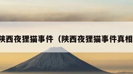陕西夜狸猫事件（陕西夜狸猫事件真相）