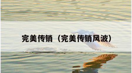 完美传销（完美传销风波）