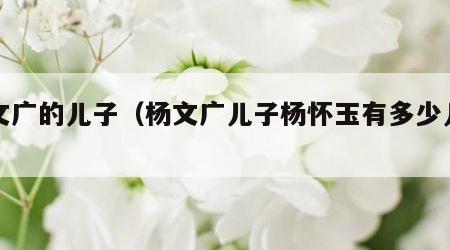 杨文广的儿子（杨文广儿子杨怀玉有多少儿子）