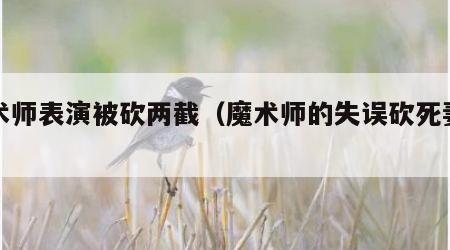 魔术师表演被砍两截（魔术师的失误砍死妻子）