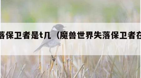 失落保卫者是t几（魔兽世界失落保卫者在哪换）