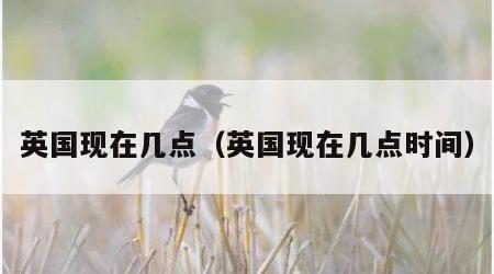 英国现在几点（英国现在几点时间）