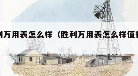 胜利万用表怎么样（胜利万用表怎么样值得买吗）