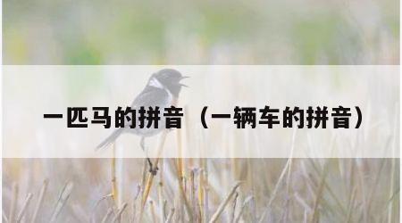 一匹马的拼音（一辆车的拼音）