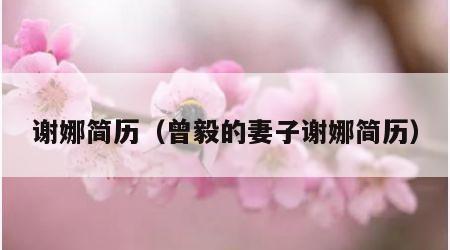谢娜简历（曾毅的妻子谢娜简历）