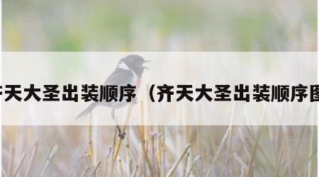 齐天大圣出装顺序（齐天大圣出装顺序图）