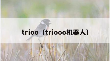 trioo（triooo机器人）