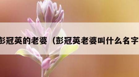 彭冠英的老婆（彭冠英老婆叫什么名字）
