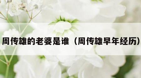 周传雄的老婆是谁（周传雄早年经历）