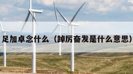 足加卓念什么（踔厉奋发是什么意思）