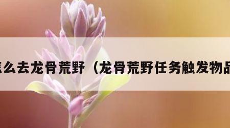 怎么去龙骨荒野（龙骨荒野任务触发物品）