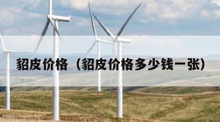 貂皮价格（貂皮价格多少钱一张）