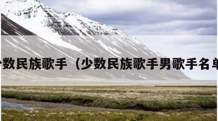 少数民族歌手（少数民族歌手男歌手名单）
