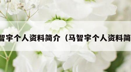 马智宇个人资料简介（马智宇个人资料简介）