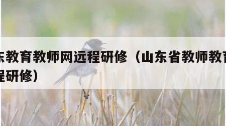 山东教育教师网远程研修（山东省教师教育网远程研修）