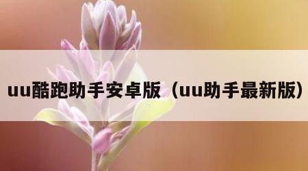 uu酷跑助手安卓版（uu助手最新版）