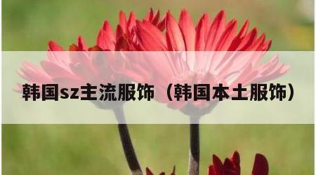 韩国sz主流服饰（韩国本土服饰）