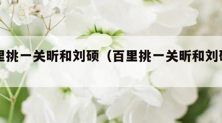 百里挑一关昕和刘硕（百里挑一关昕和刘硕亲亲）