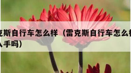雷克斯自行车怎么样（雷克斯自行车怎么样值得入手吗）