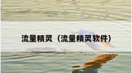 流量精灵（流量精灵软件）
