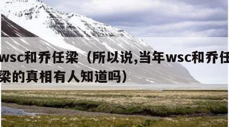 wsc和乔任梁（所以说,当年wsc和乔任梁的真相有人知道吗）