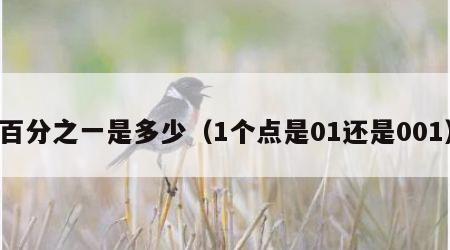 百分之一是多少（1个点是01还是001）