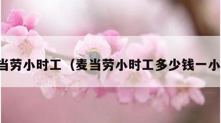 麦当劳小时工（麦当劳小时工多少钱一小时）