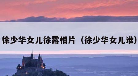 徐少华女儿徐露相片（徐少华女儿谁）
