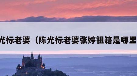 陈光标老婆（陈光标老婆张婷祖籍是哪里人）