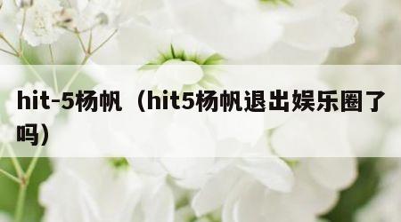 hit-5杨帆（hit5杨帆退出娱乐圈了吗）